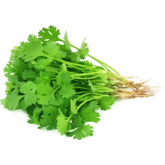 Fresh Coriander/Ngo Ri 100g