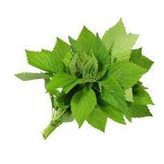 Fresh Vietnamese Balm/Kinh Giới 200g