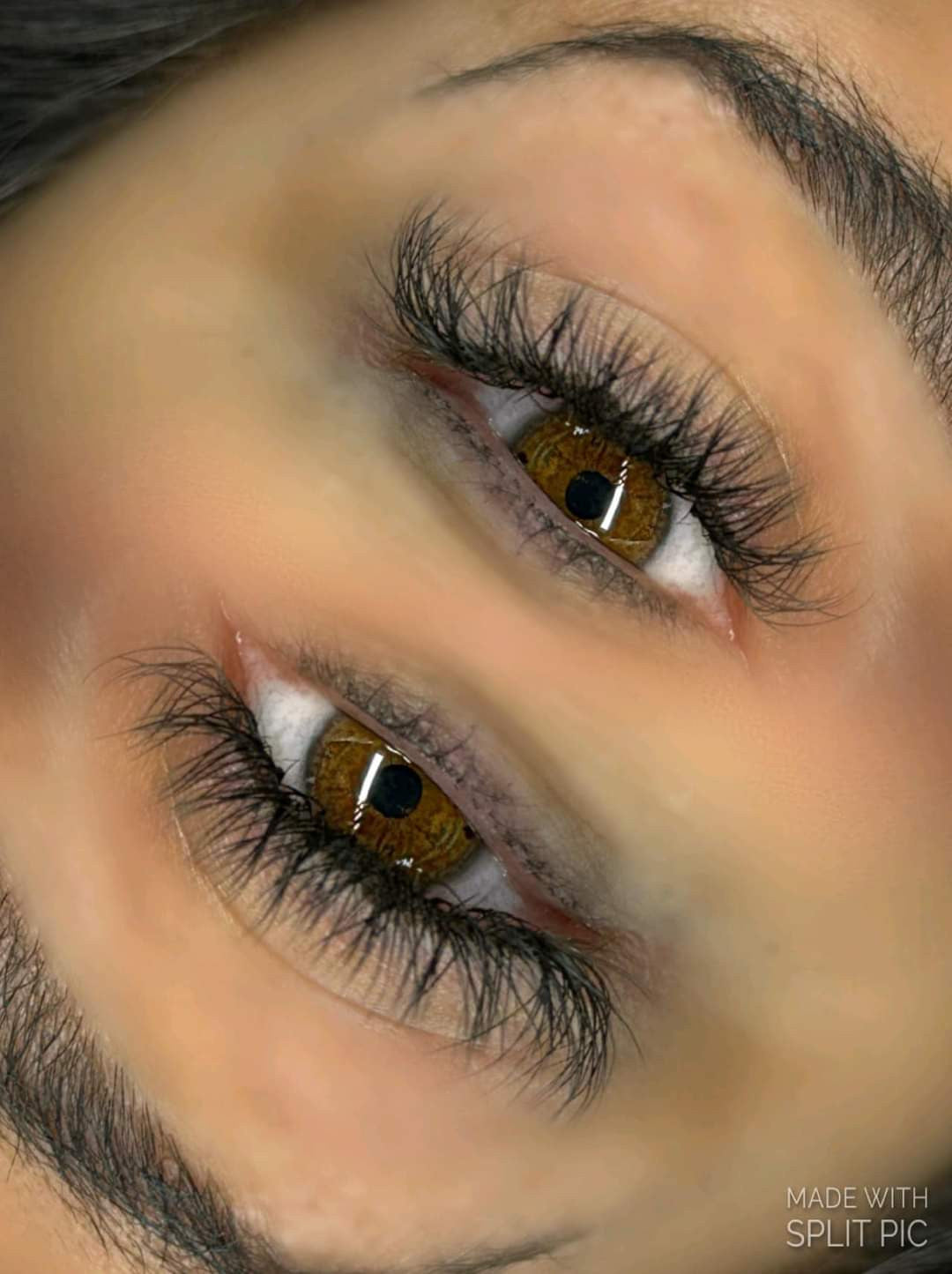 YY Lash Sample Tray