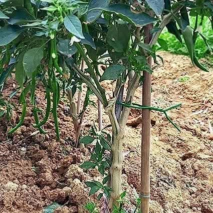 2.5mm x 8m Flexible Twist Tie Garden Support Wire Fixing Plant Training