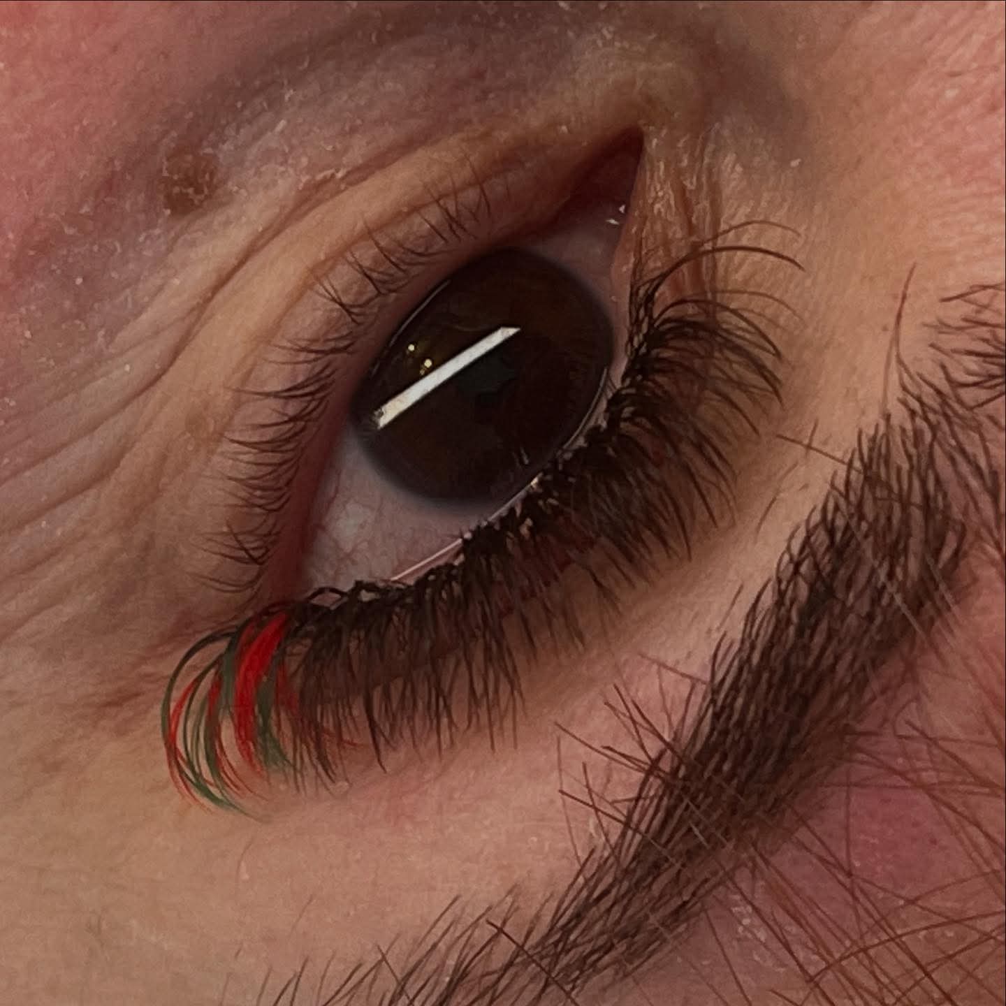 π Bold Colour Volume Lashes π 0.05mm β’ 5-Row Tray β’ 10β14mm Mix