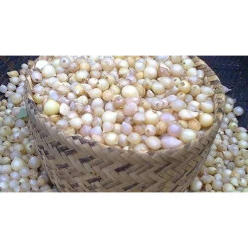 Fresh Chives Bulbs /Củ Nén/Hành Tăm 200g