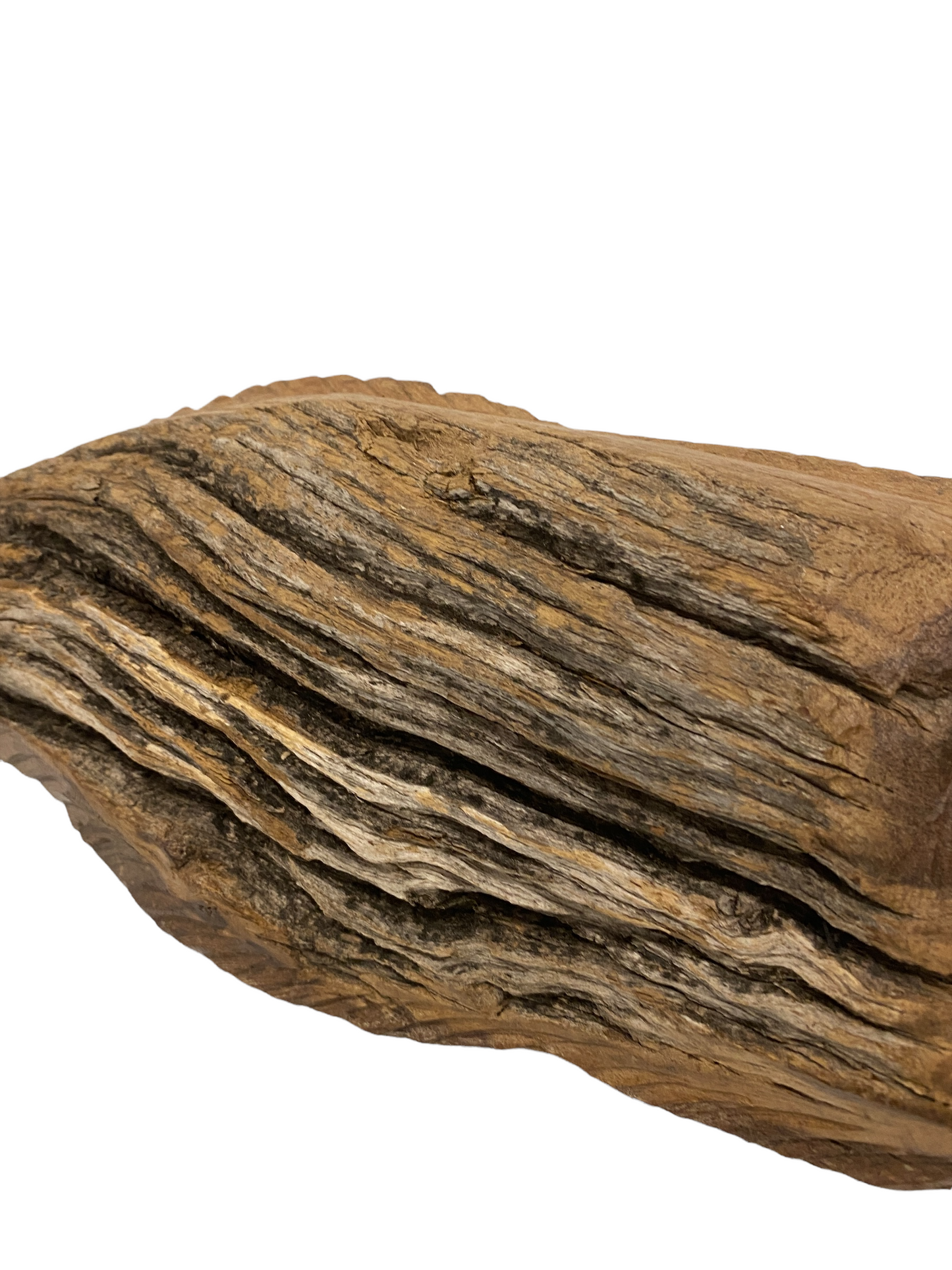 Driftwood Hand Carved Fish - M (1208)