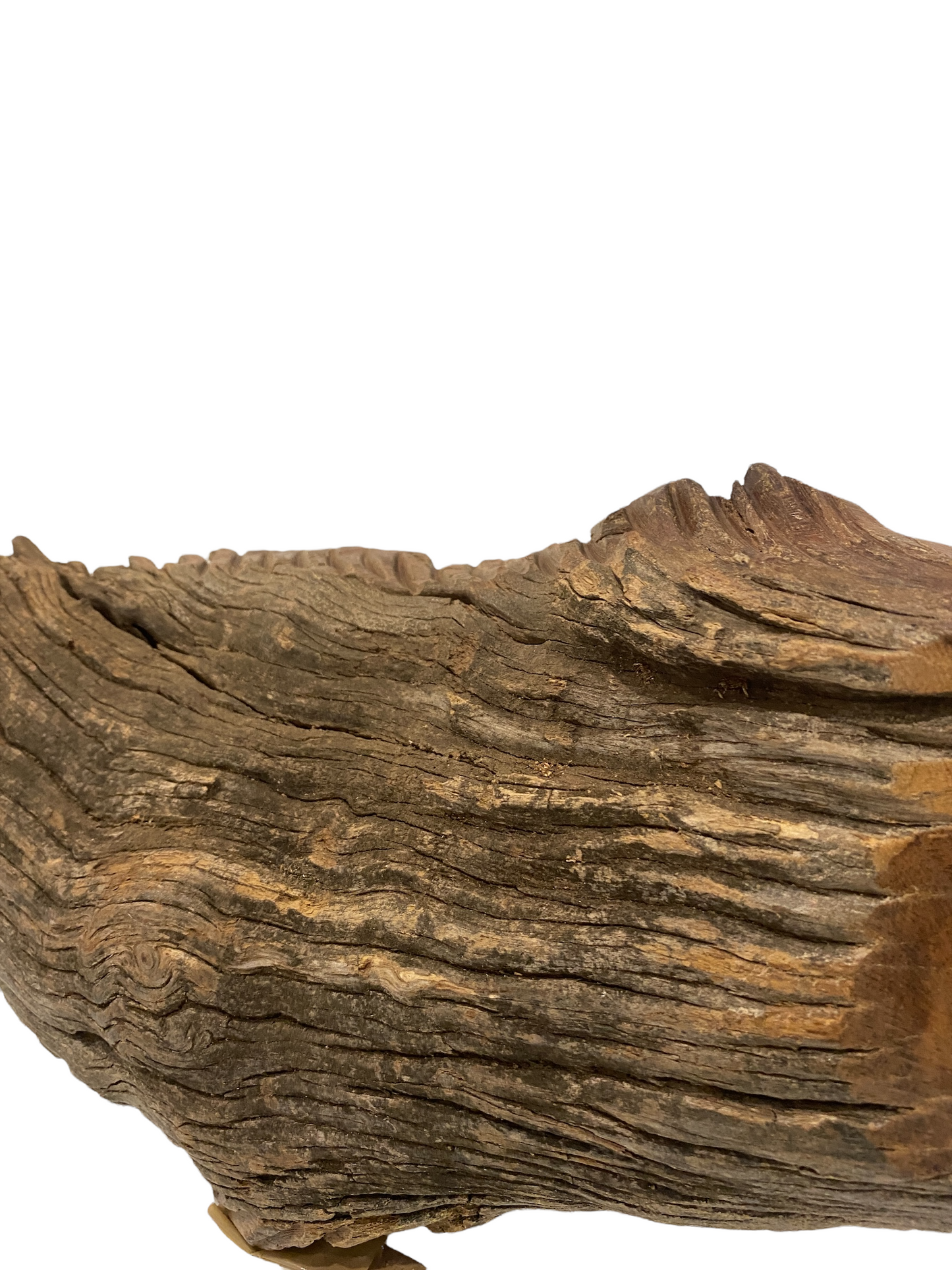 Driftwood Hand Carved Fish - (1306)