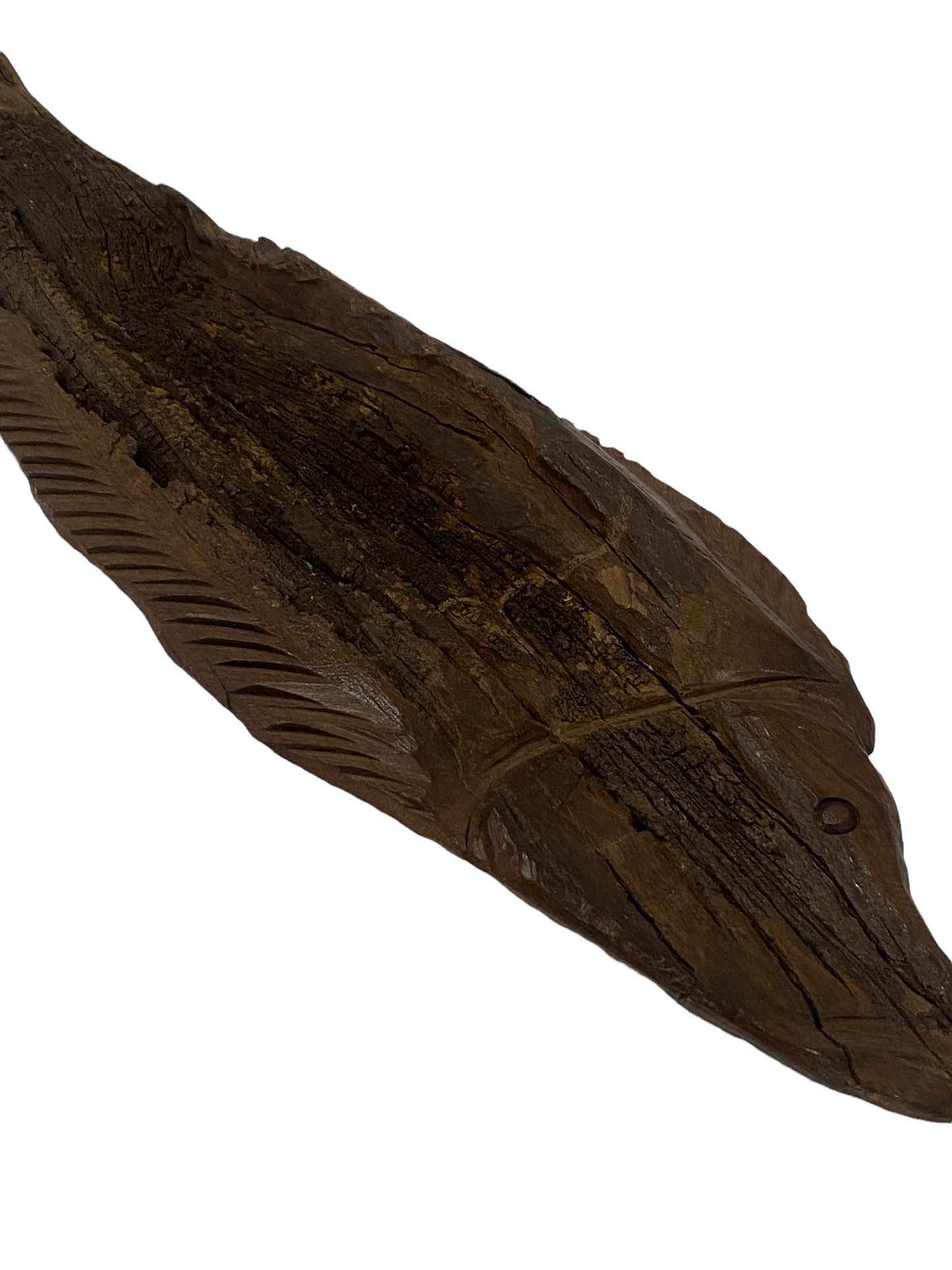 Driftwood Hand Carved Fish - (13.2) Large
