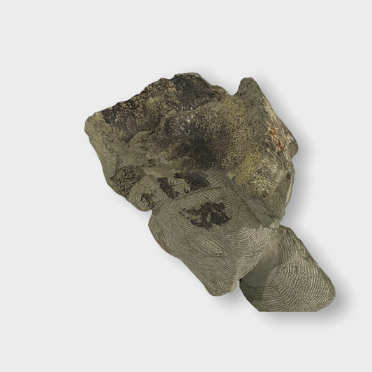 Stone head sculpture by Rizimu Chiwawa Zimbabwe (3101)