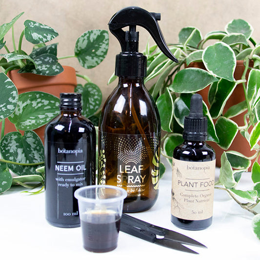 House Plant Care Kit