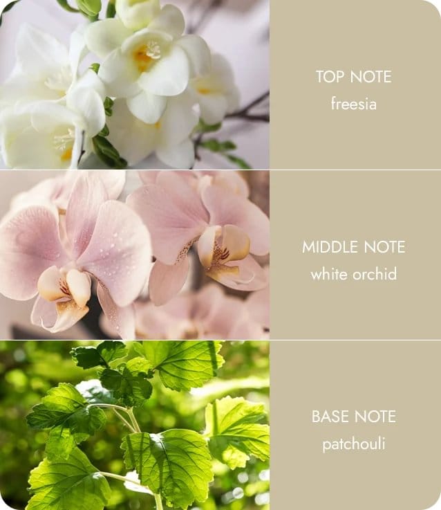 Love Always Fragrance Diffuser -70ml - Up to 12 Weeks of Fragrance