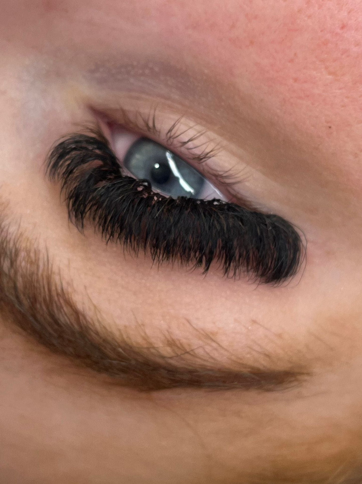 10D Clover Lashes Single Length