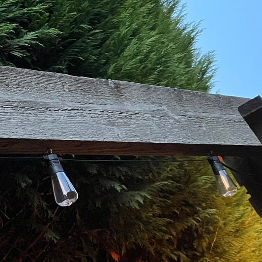 12 Pack Vintage Style Warm White LED Super Festoon Shatterproof Bulbs