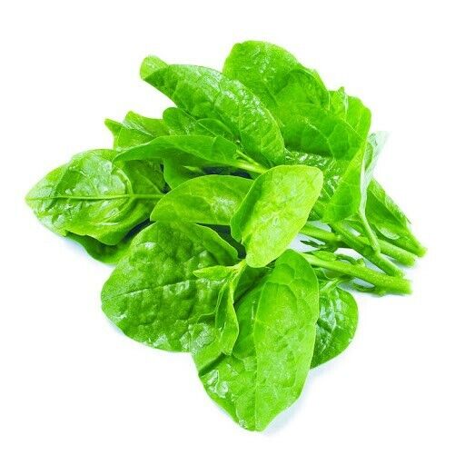 Fresh Malabar Spinach/Mồng Tơi 200g