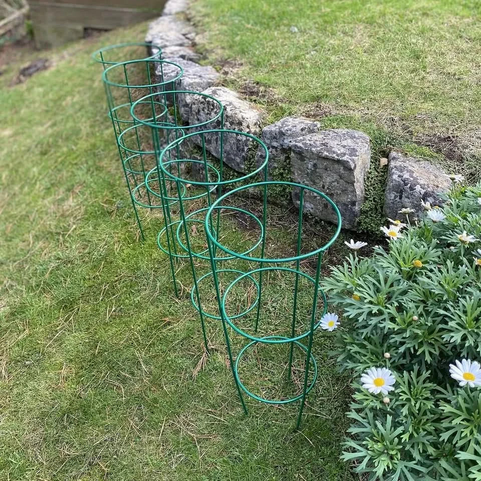 5pc Conical Plant Supports Trellis Garden Climbing Cage