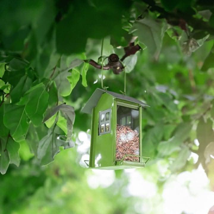 Bird Seed Feeder Beach Hut