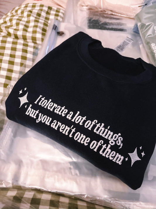 I Tolerate A Lot Of Things, But You Aren't One Of Them embroidered sweatshirt