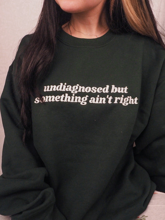 Undiagnosed But Something Ain’t Right embroidered sweatshirt