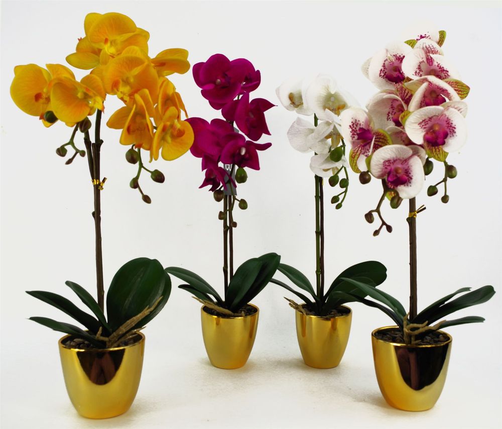48cm Harlequin Orchid Artificial - Pink with Gold Pot