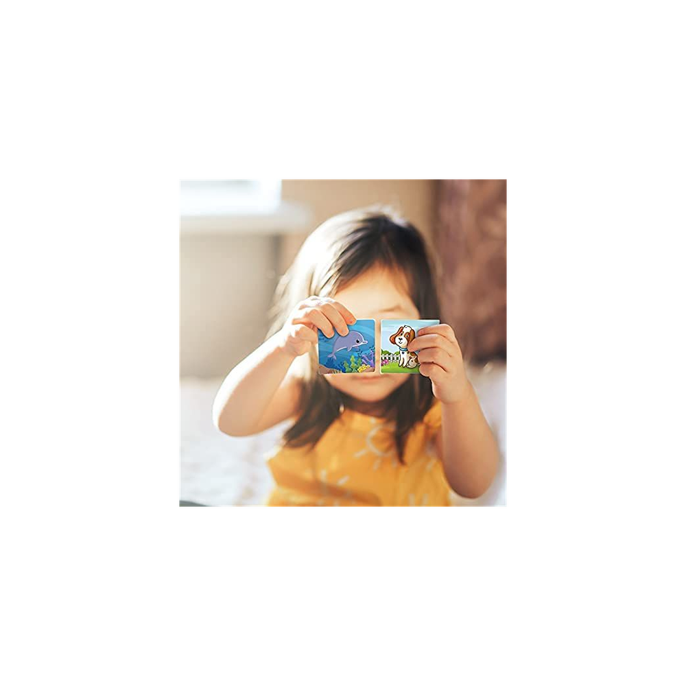 Cardboard Memory Matching Cards Animal