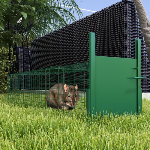 Outsunny Single Door Humane Rat Trap for Small Animals, Dark Green