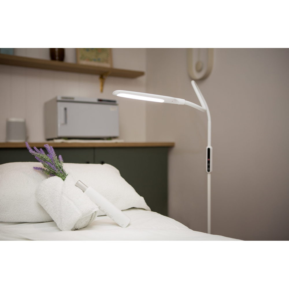 Lumina Floor Lamp
