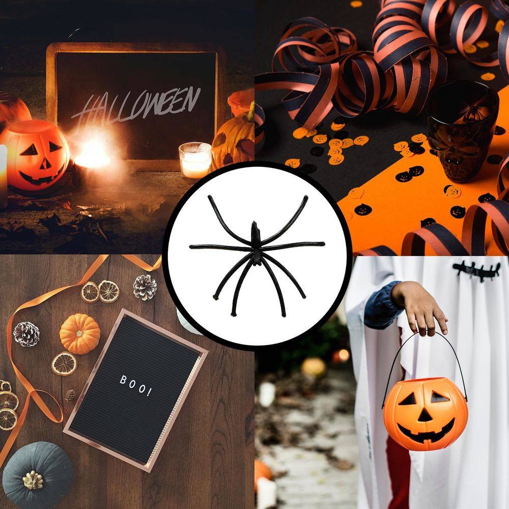 PACK OF 2 Pack of 24 Spooky Black Plastic Spiders 5cm Halloween Party Novelty Decorations