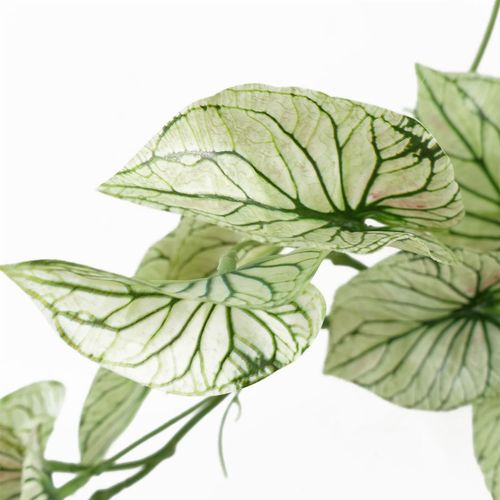 30cm Artificial Trailing Plant Variegated Potted Alocasia