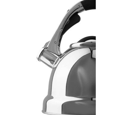 Zion Mirrored 3.2 Ltr Whistling Kettle