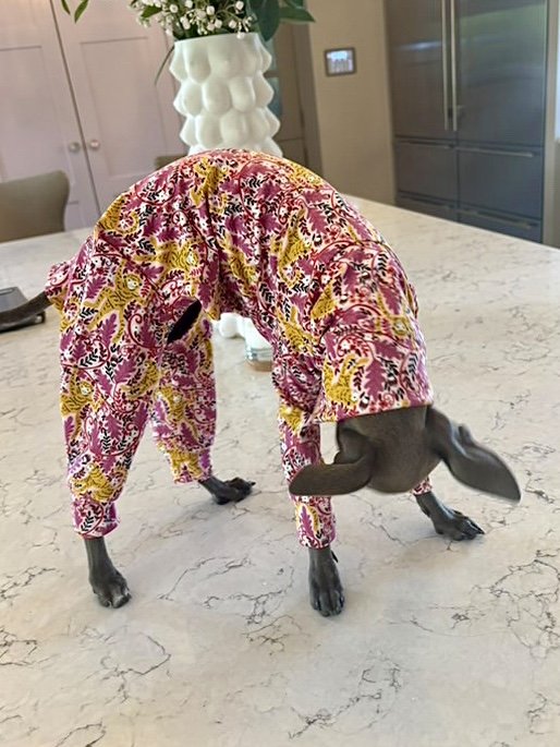 Jersey Suit - Go Bananas!