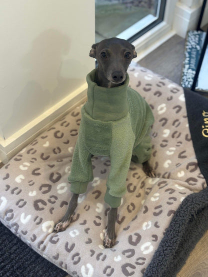 Fleece Lined Sweatshirt - Sage Green