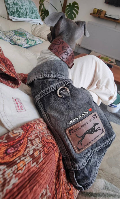 Denim Jacket - Cool Iggy Club