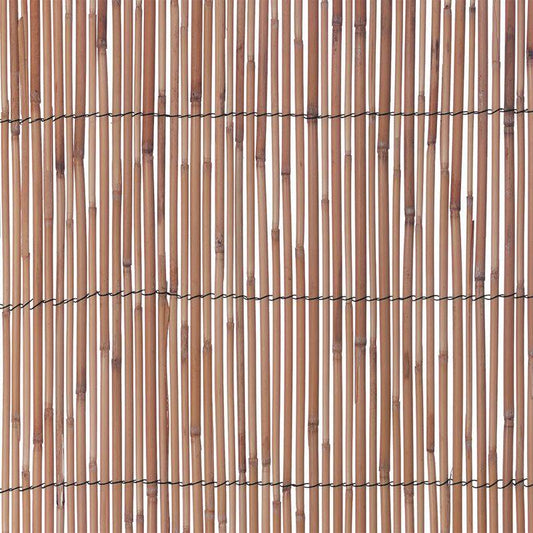 Reed Screening Panel 1 x 3m