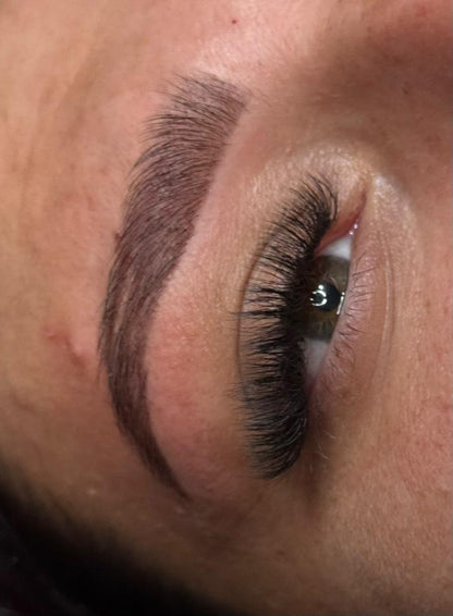 10D Clover Lashes Single Length