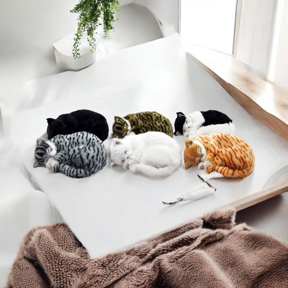 12"SLEEPING CAT ASST COLOUR PLUSH FABRIC