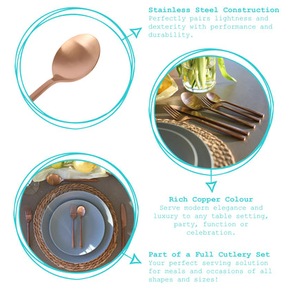 Stainless Steel Dessert Spoons - 20cm - Pack of Four