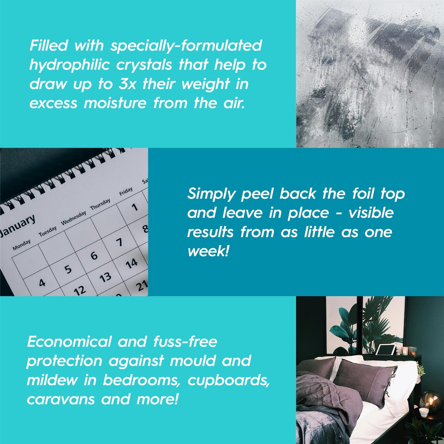 Lemon 500ml Scented Interior Dehumidifier