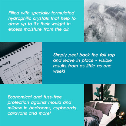 Lavender 500ml Scented Interior Dehumidifier