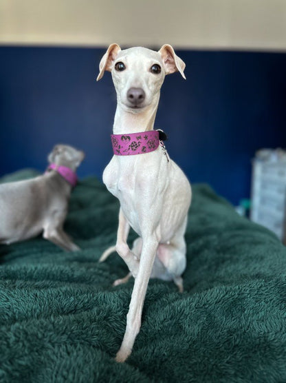 Leather Collar - Tattoo Flash