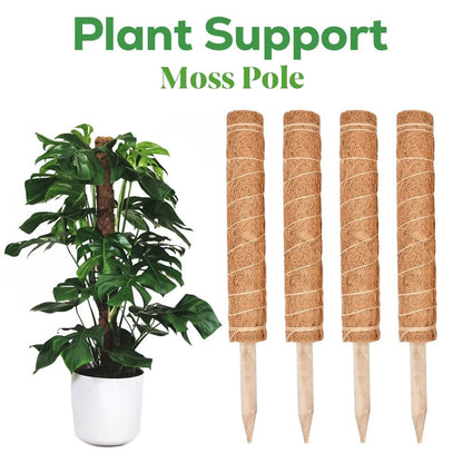4pc Moss Coir Pole Plant Supports - Fibre Sticks with Spikes