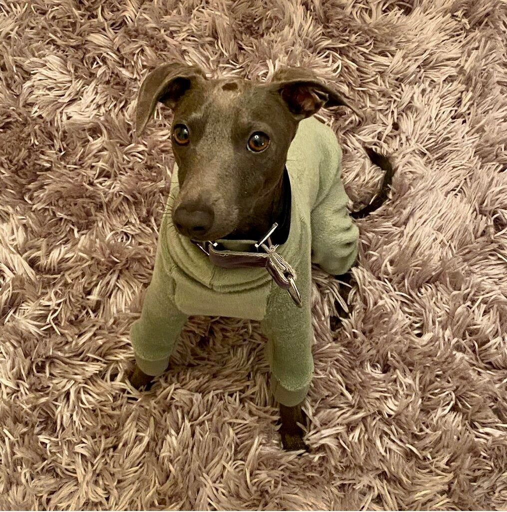 Fleece Lined Sweatshirt - Sage Green