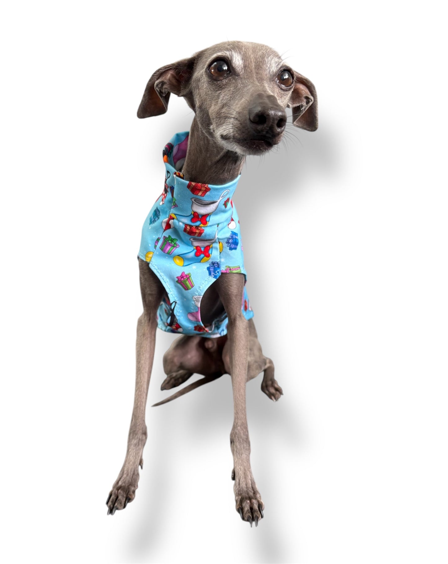 Jersey Vest - Disney Christmas