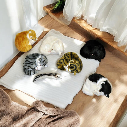 17cm' LYING CURLED' UP BABY KITTEN