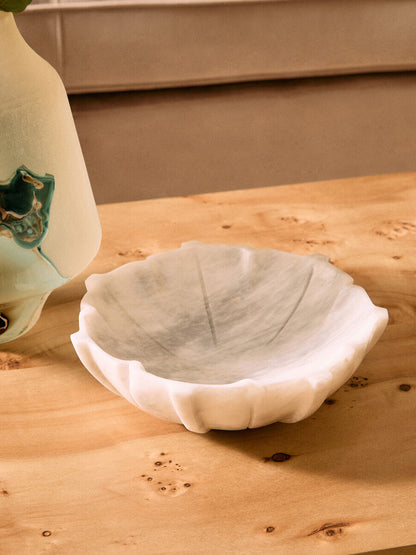 Mota Burl Wood Design Curved Coffee Table