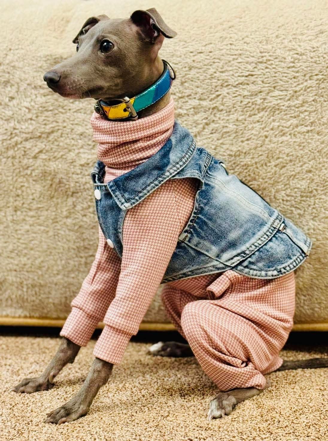 Denim Jacket - Cool Iggy Club