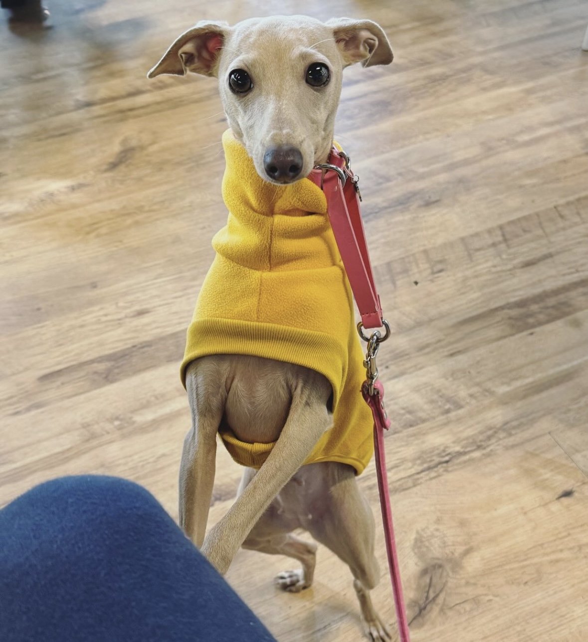 Open-Leg Fleece Vest - Yellow
