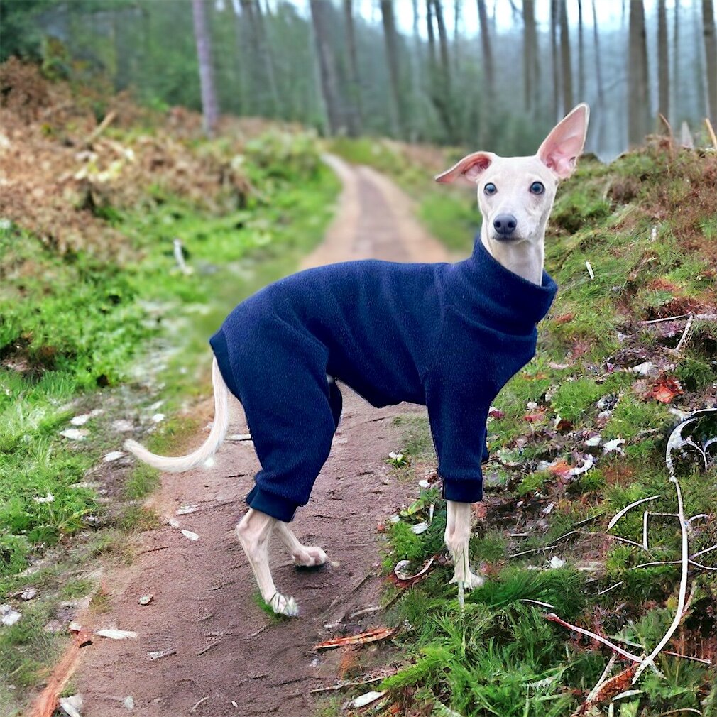 Fleece Lined Sweatshirt - Charcoal Grey