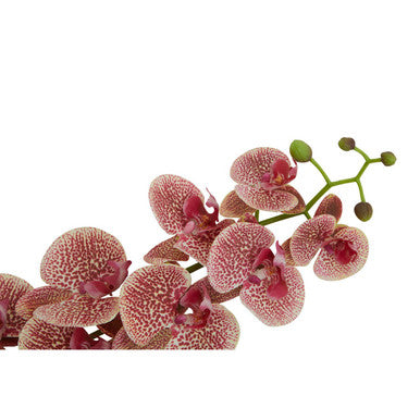 Fiori Tall Pink Orchid Spray Flower Stem