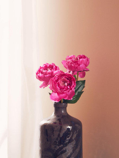 Fiori Fuchsia Peony Flower Stem