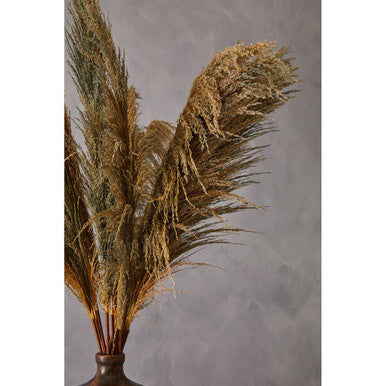 Fiori Blue Tall Pampas Grass Stem