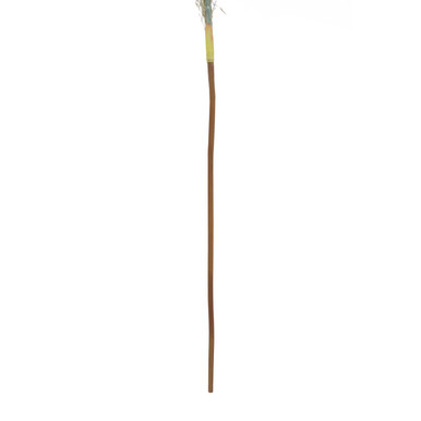 Fiori Blue Tall Pampas Grass Stem