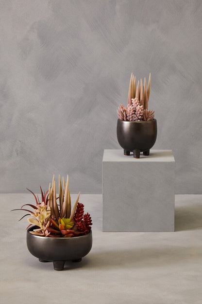 Fiori Mixed Succulents In Grey Ceramic Pot