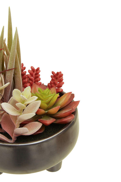 Fiori Mixed Succulents In Grey Ceramic Pot